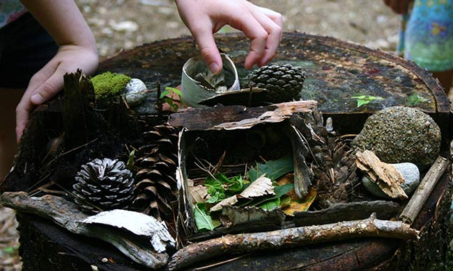 Building a fairy house